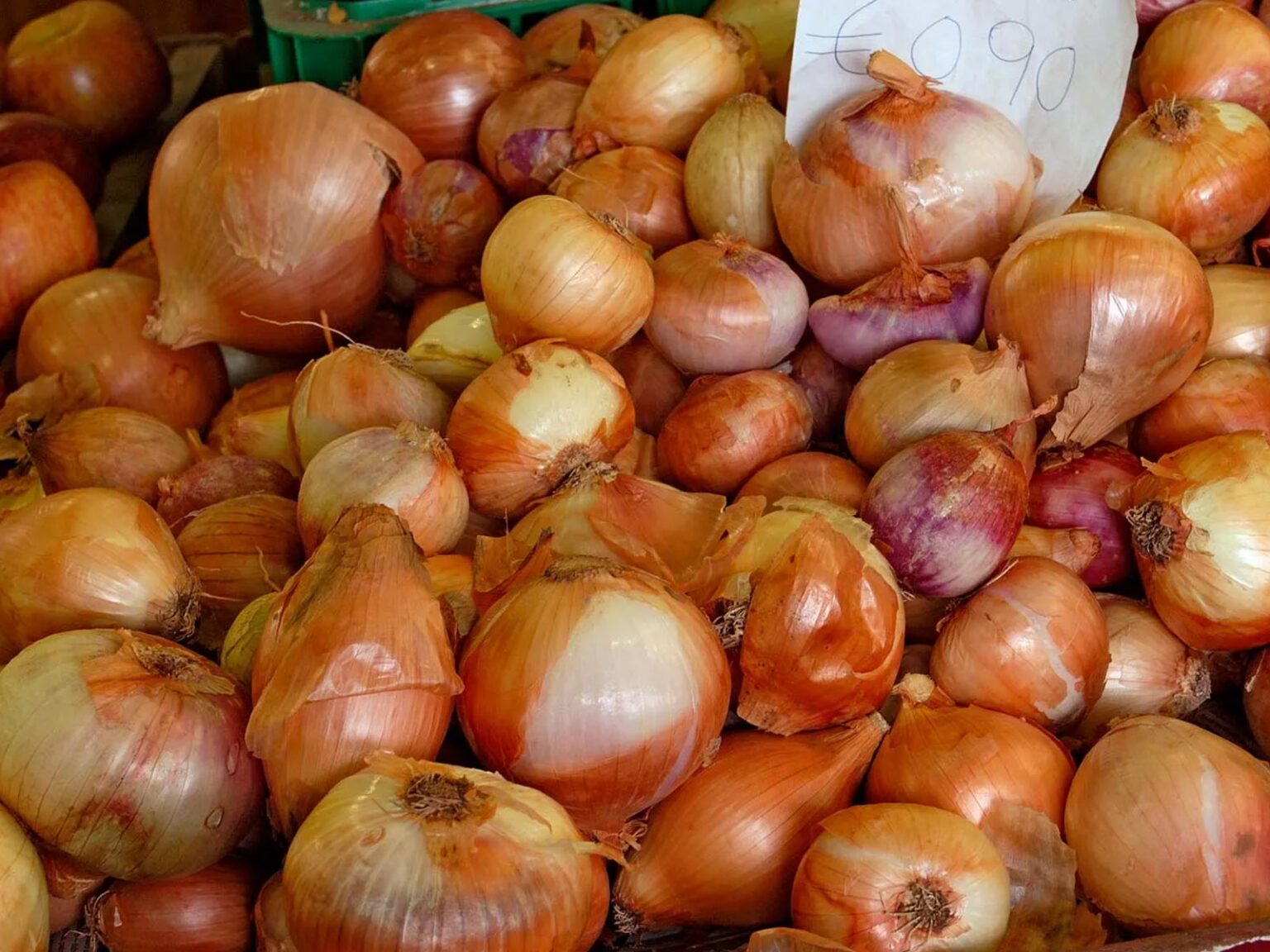 Σπιτική Φυσική Θεραπεία Ομορφιάς για Πλούσια, Δυνατά Μαλλιά με την βοήθεια του κρεμμυδιού