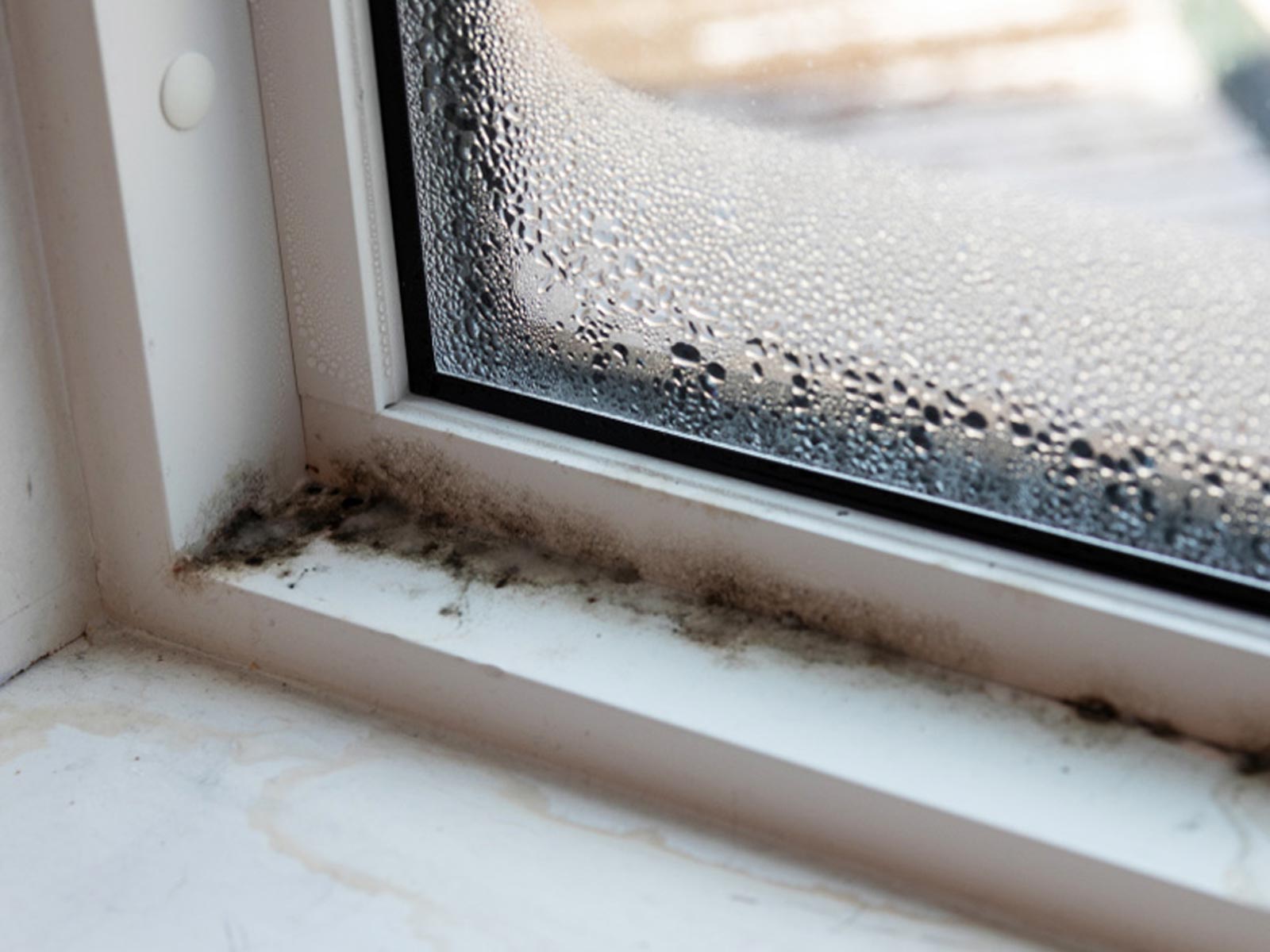 4 Συμβουλές για να καθαρίσεις Μούχλα γύρω από τα παράθυρα