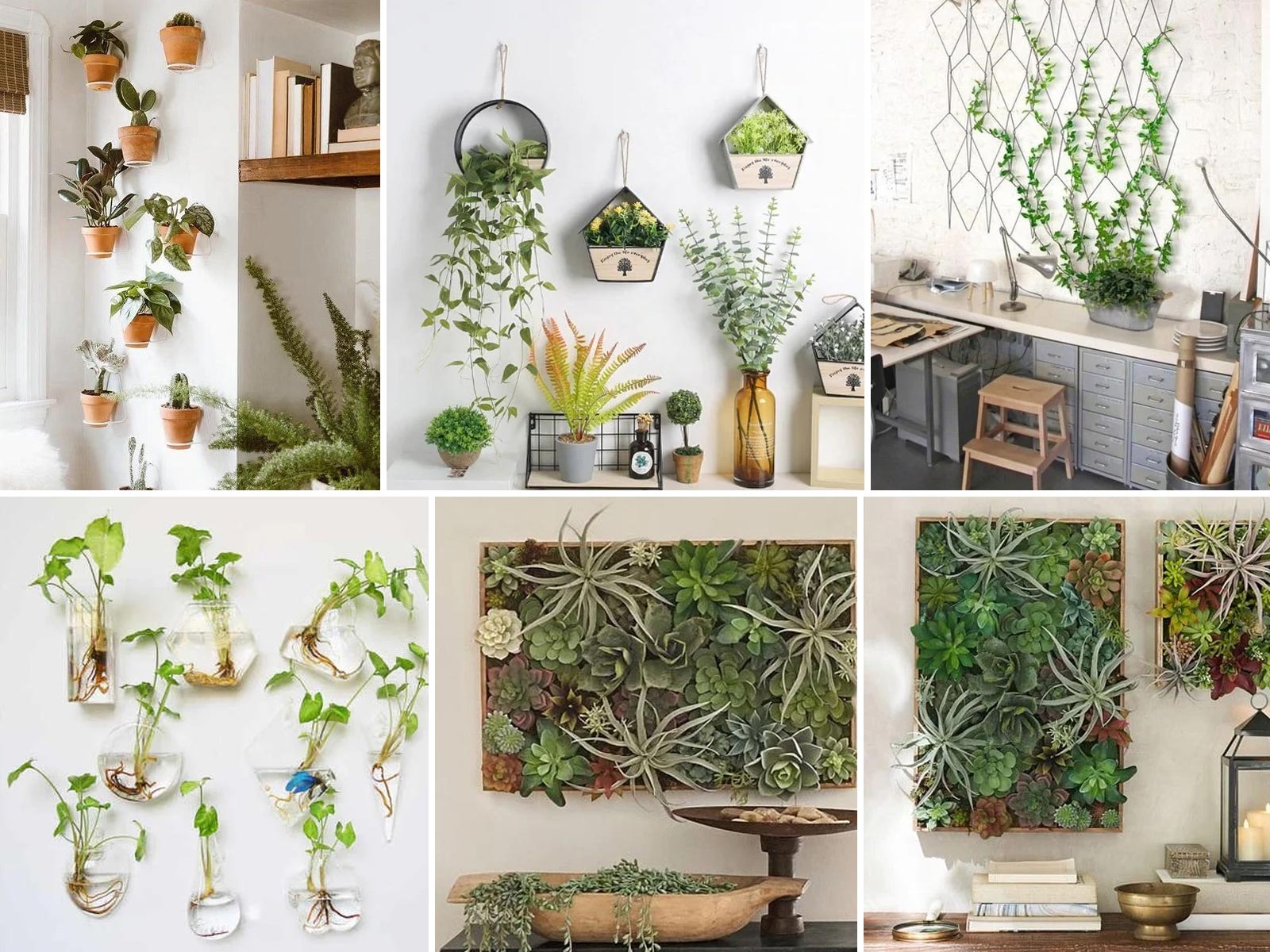 27 Καλλιτεχνικές Ιδέες Διακόσμηση Τοίχου με Φυτά Εσωτερικού Χώρου
