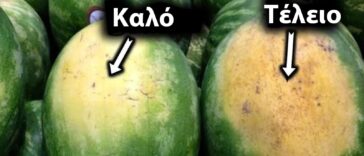 Το χτύπημα του καρπουζιού είναι μύθος - Πως να Επιλέξετε το Τέλεια Γλυκό Ζουμερό Καρπούζι