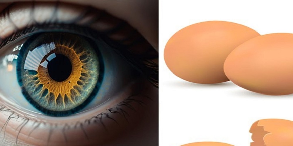 Πώς τα Αυγά Μπορούν να Βοηθήσουν στην Προστασία των Ματιών σας