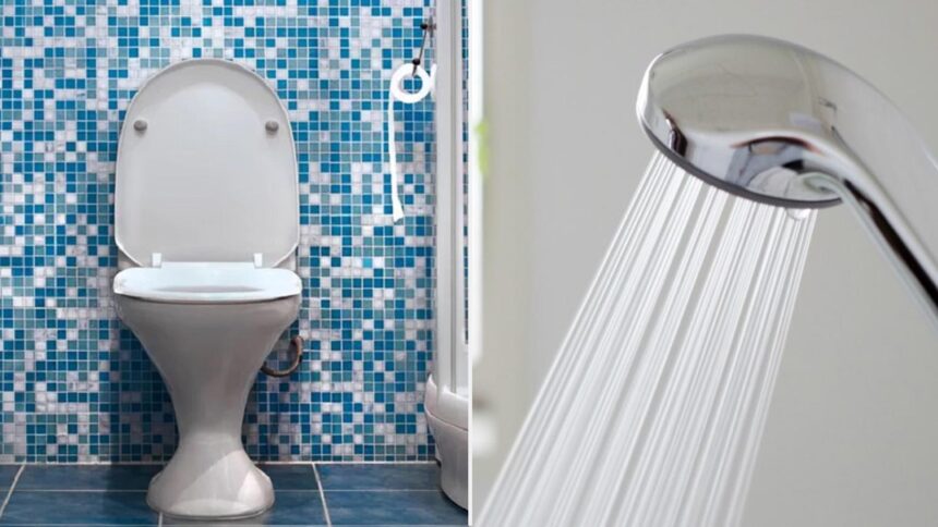 Δεν Πρέπει Ποτέ να Κάνετε Ντους με Ανοιχτό το Καπάκι της Τουαλέτας Σύμφωνα με το TikTok