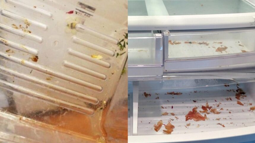 Μουχλιασμένα φρούτα, λαχανικά και ζουμιά στο ψυγείο: Πώς να καθαρίσεις και να απολυμάνεις