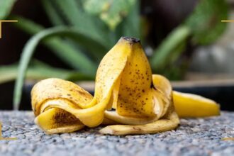 Κρεμάστε μια ώριμη Μπανάνα στον Κήπο σας και γεμίστε πεταλούδες και άλλα οφέλη