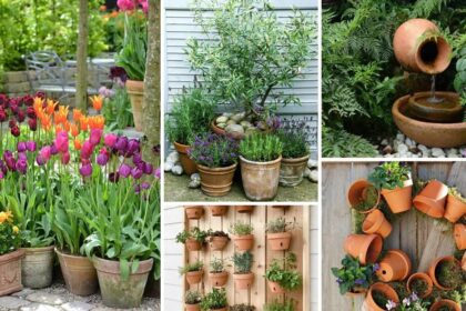 Τι να κάνω τις παλιές γλάστρες: 49 Ιδέες για Επαναχρησιμοποίηση στον Κήπο
