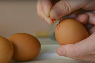 Το Έξυπνο Tip των Σεφ για Εύκολο Ξεφλούδισμα βραστών Αυγών