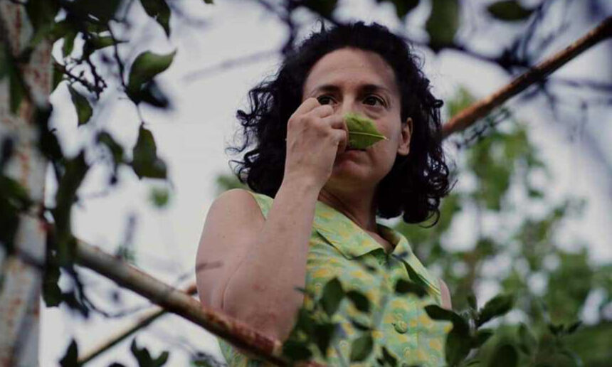 Πορφυρή Λεμονιά: Μια Ελληνική ταινία μικρού μήκους για τη γυναικοκτονία, αφιερωμένη σε όλες τις...Λεμονιές του κόσμου