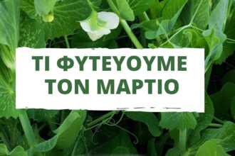 Τι φυτεύουμε τον Μάρτιο