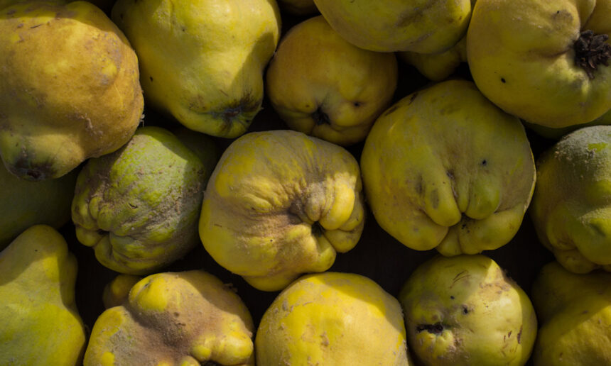 Κυδώνι για την υψηλή χοληστερίνη: Πώς βοηθά στη μείωσή της