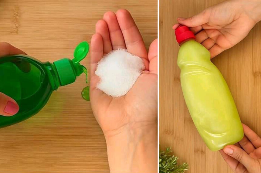 Ανακάτεψε υγρό πιάτων και αλάτι και ανακάλυψε το αποτέλεσμα και τις δράσεις του