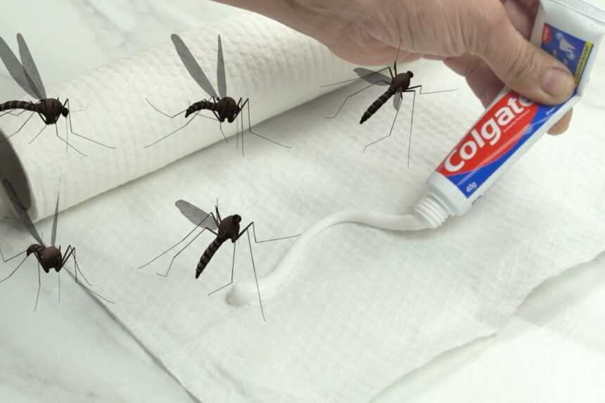 οδοντόκρεμα για κουνούπια, φυσικό απωθητικό για κουνούπια, φυσικό απωθητικό για κατσαρίδες