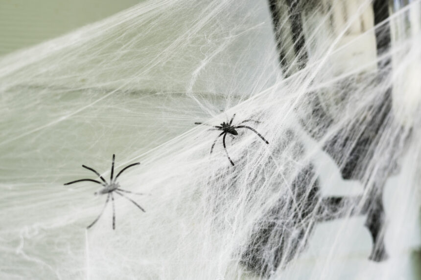 αράχνες στο σπίτι, αράχνες στο σπίτι καταπολέμηση