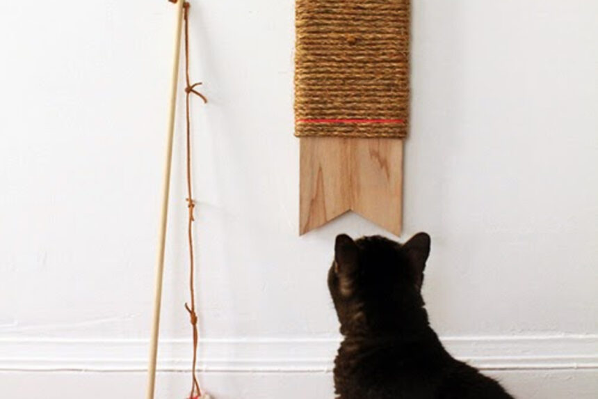 πώς να φτιάξεις diy ονυχοδρόμιο για γάτα