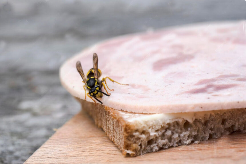 Τι προσελκύει τις σφήκες