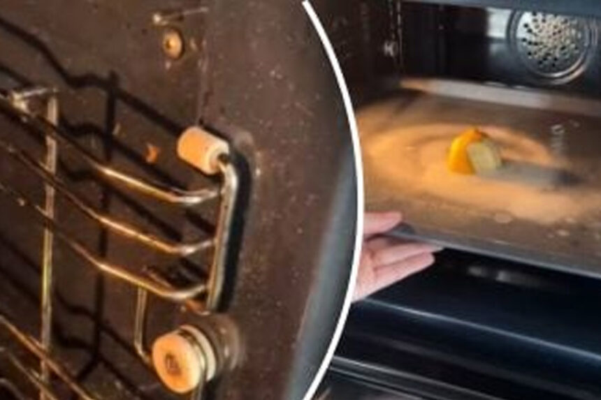 Η αιθάλη και το λίπος θα εξαφανιστούν μέσα σε λίγα λεπτά: ο έξυπνος τρόπος για να καθαρίσετε το φούρνο σας από τη βρωμιά