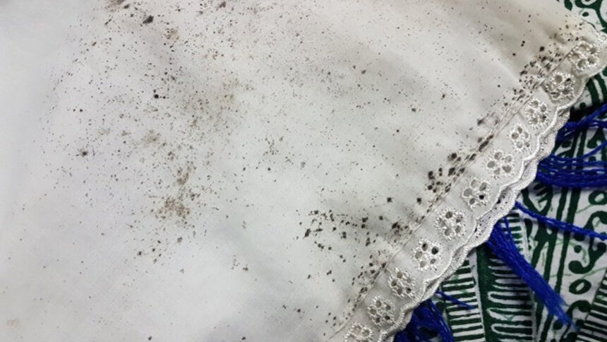 Δοκιμάσαμε 5 τρόπους για να αφαιρέσουμε τη μούχλα από τα ρούχα και ιδού τα αποτελέσματα