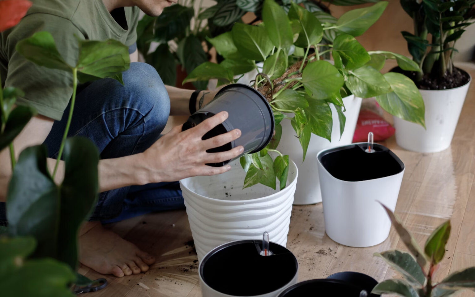 Γυναίκα φροντίζει φυτά σε γλάστρες