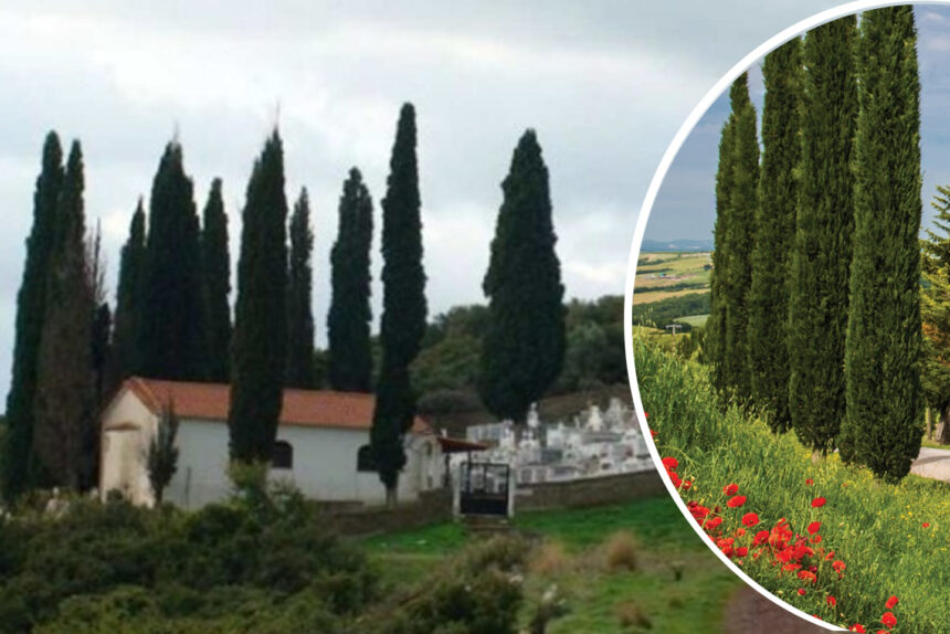 Γιατί φυτεύουν κυπαρίσσια στα νεκροταφεία - Ποιος είναι ο συμβολισμός