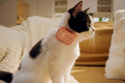 PetPhone: Το πρώτο Smartphone για κατοικίδια