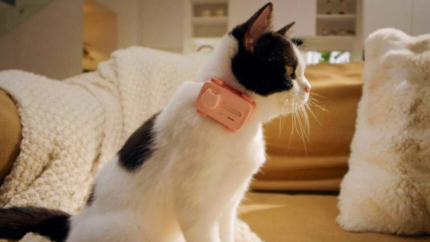 PetPhone: Το πρώτο Smartphone για κατοικίδια