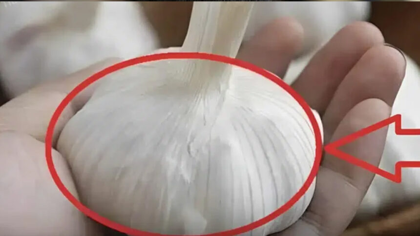 Αυτά τα σκόρδα μην τα πάρετε ακόμα και αν σας τα χαρίσουν