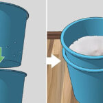 DIY Συλλέκτες υγρασίας: Τρόποι για να μειώσεις την υγρασία μέσα στο σπίτι σου
