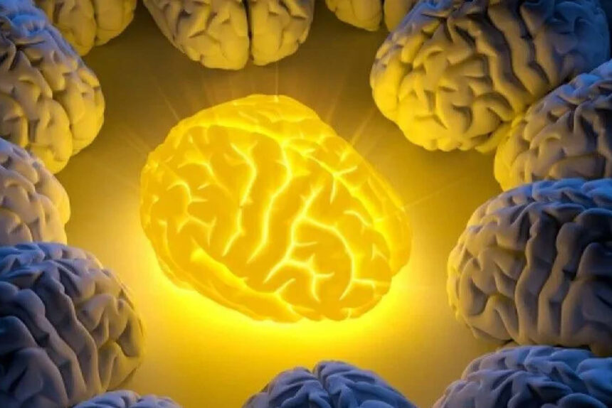 Πόσο έξυπνος είσαι; Οι 7 σπαζοκεφαλιές που δείχνουν αν είστε ιδιοφυΐα -Ερωτήσεις & Απαντήσεις