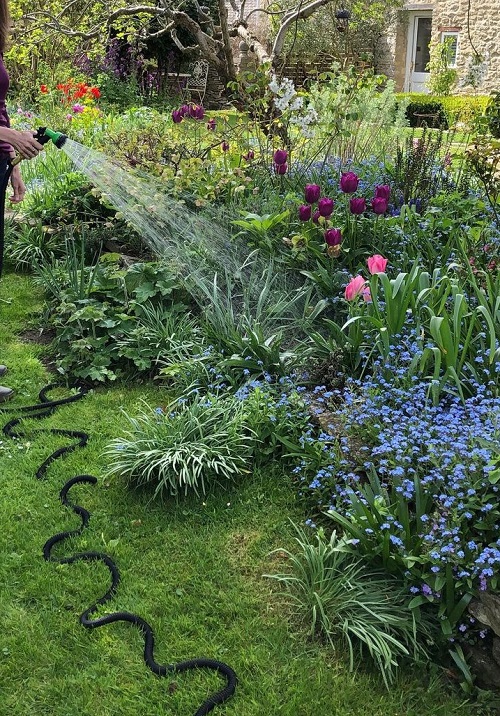 Ποια Είναι η Καλύτερη Ώρα για να Ποτίζετε τα Φυτά και Πότε η Χειρότερη - Μπόνους Κανόνας 2 Ποια Είναι η Καλύτερη Ώρα για να Ποτίζετε τα Φυτά και Πότε η Χειρότερη - Μπόνους Κανόνας