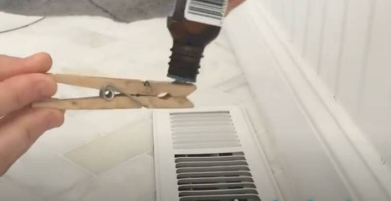 Αιθέρια έλαια: 13 χρήσεις ίσως δεν γνωρίζετε για το σπίτι 5 Αιθέρια έλαια: 13 χρήσεις ίσως δεν γνωρίζετε για το σπίτι