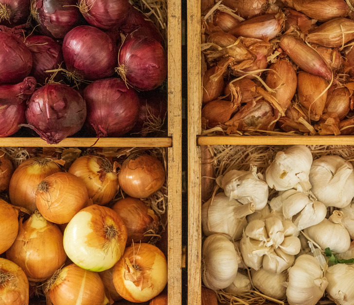 Για να μην Πετάς Τροφή και Χρήματα: 10 Κόλπα για να Διατηρήσετε Φρούτα και Λαχανικά Φρέσκα για Μήνες 2 10 Μυστικά για να Διατηρήσετε Φρούτα και Λαχανικά Φρέσκα για Μήνες - Λέμε όχι στο Food Waste