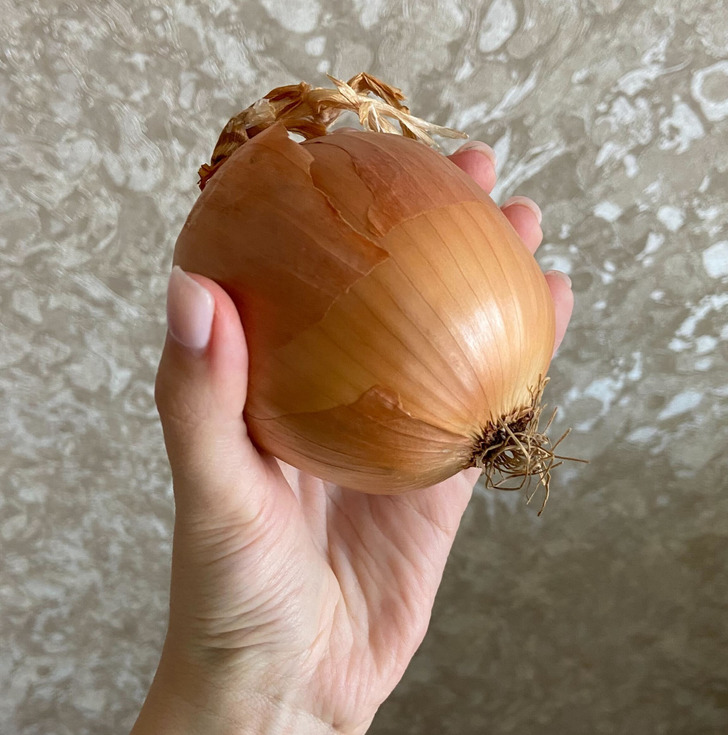 Για να μην Πετάς Τροφή και Χρήματα: 10 Κόλπα για να Διατηρήσετε Φρούτα και Λαχανικά Φρέσκα για Μήνες 3 10 Μυστικά για να Διατηρήσετε Φρούτα και Λαχανικά Φρέσκα για Μήνες - Λέμε όχι στο Food Waste