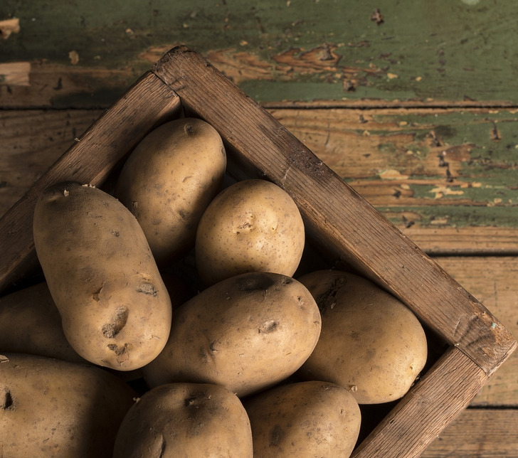 Για να μην Πετάς Τροφή και Χρήματα: 10 Κόλπα για να Διατηρήσετε Φρούτα και Λαχανικά Φρέσκα για Μήνες 4 10 Μυστικά για να Διατηρήσετε Φρούτα και Λαχανικά Φρέσκα για Μήνες - Λέμε όχι στο Food Waste
