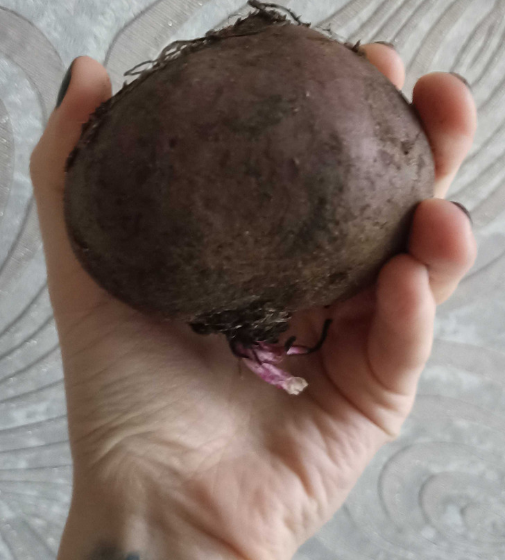 Για να μην Πετάς Τροφή και Χρήματα: 10 Κόλπα για να Διατηρήσετε Φρούτα και Λαχανικά Φρέσκα για Μήνες 5 10 Μυστικά για να Διατηρήσετε Φρούτα και Λαχανικά Φρέσκα για Μήνες - Λέμε όχι στο Food Waste