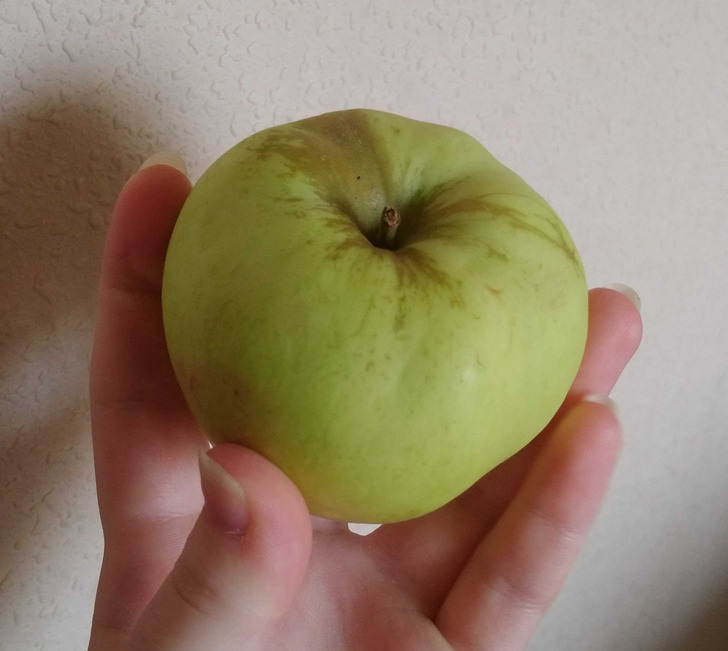 Για να μην Πετάς Τροφή και Χρήματα: 10 Κόλπα για να Διατηρήσετε Φρούτα και Λαχανικά Φρέσκα για Μήνες 6 10 Μυστικά για να Διατηρήσετε Φρούτα και Λαχανικά Φρέσκα για Μήνες - Λέμε όχι στο Food Waste