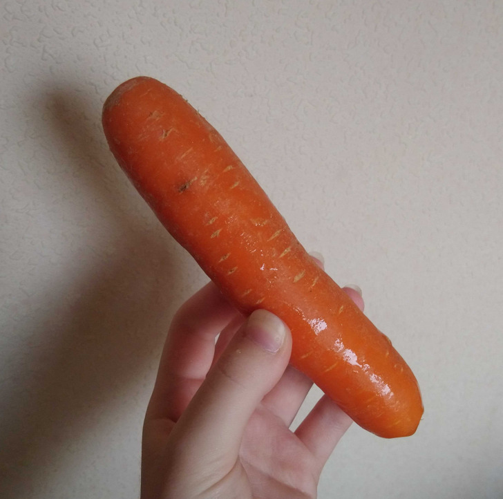 Για να μην Πετάς Τροφή και Χρήματα: 10 Κόλπα για να Διατηρήσετε Φρούτα και Λαχανικά Φρέσκα για Μήνες 7 10 Μυστικά για να Διατηρήσετε Φρούτα και Λαχανικά Φρέσκα για Μήνες - Λέμε όχι στο Food Waste