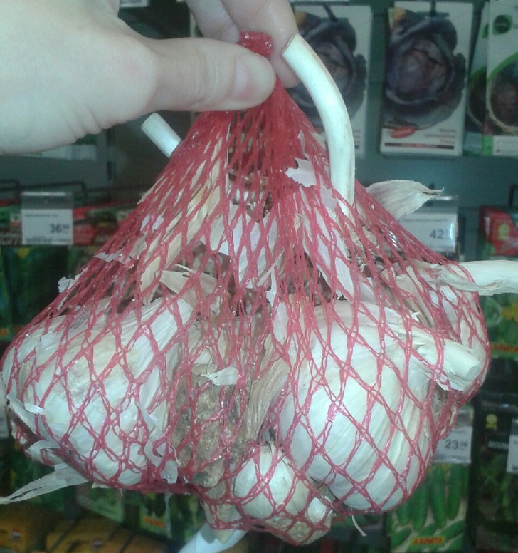 Για να μην Πετάς Τροφή και Χρήματα: 10 Κόλπα για να Διατηρήσετε Φρούτα και Λαχανικά Φρέσκα για Μήνες 8 10 Μυστικά για να Διατηρήσετε Φρούτα και Λαχανικά Φρέσκα για Μήνες - Λέμε όχι στο Food Waste