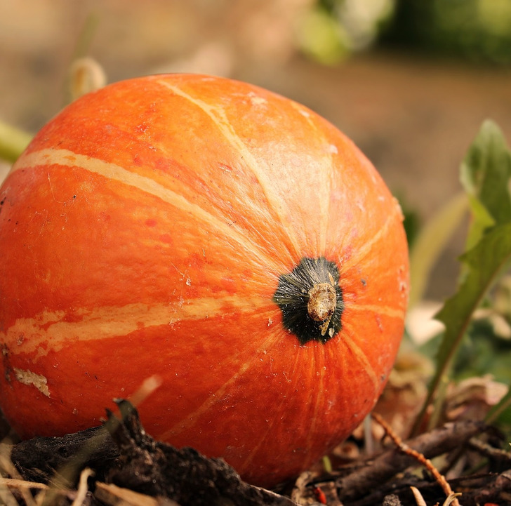 Για να μην Πετάς Τροφή και Χρήματα: 10 Κόλπα για να Διατηρήσετε Φρούτα και Λαχανικά Φρέσκα για Μήνες 10 10 Μυστικά για να Διατηρήσετε Φρούτα και Λαχανικά Φρέσκα για Μήνες - Λέμε όχι στο Food Waste