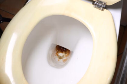 Μια γυναίκα αναζήτησε συμβουλές για να αφαιρέσει το πουρί από τη λεκάνη της τουαλέτας και οι λάτρεις της καθαριότητας κατέληξαν σε ένα μόνο υλικό που κάνει δουλειά αποτελεσματική.