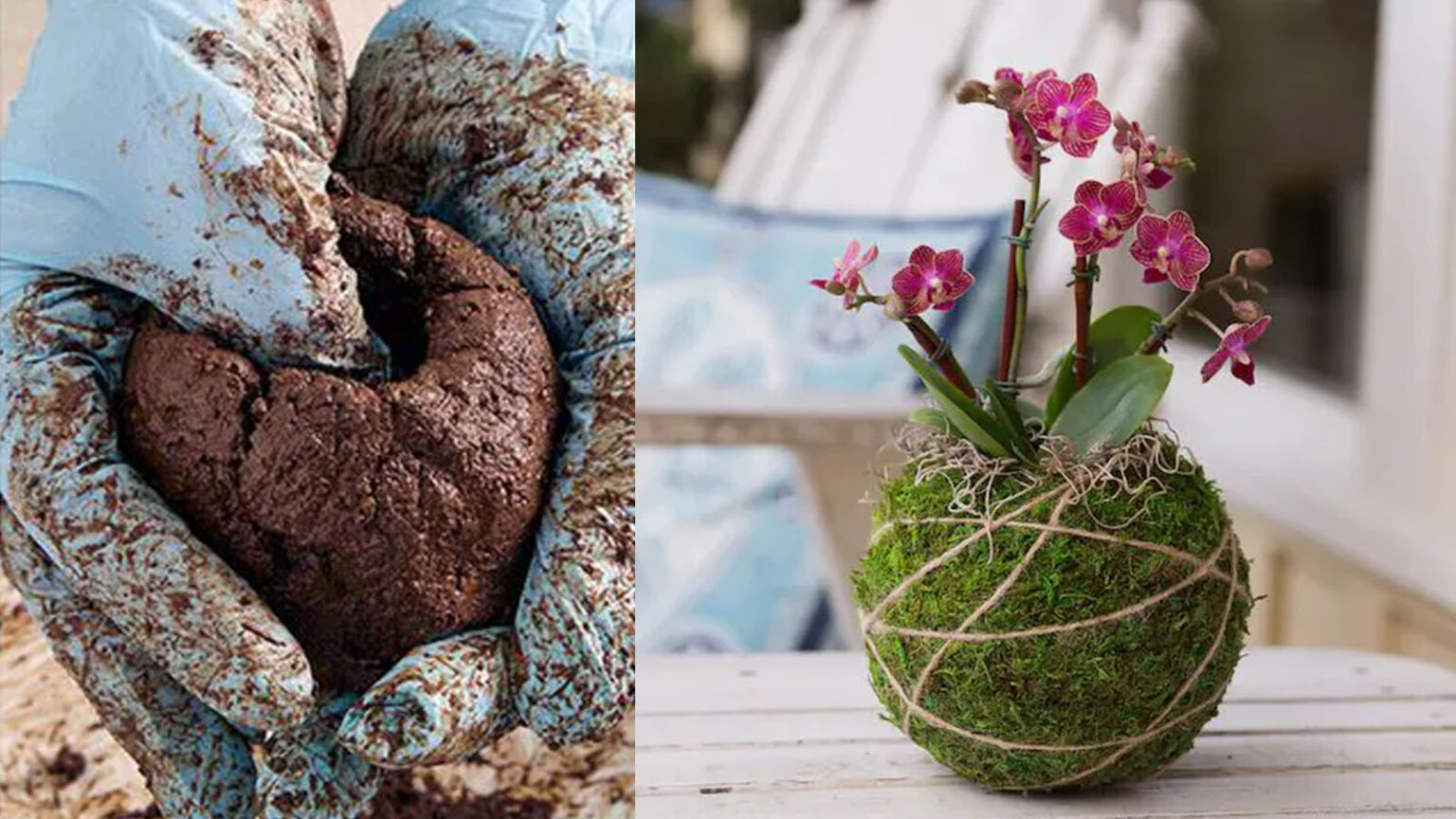 Kokedama – Η τέχνη της καλλιέργειας φυτών χωρίς γλάστρες. Η Ιαπωνία διδάσκει στυλ