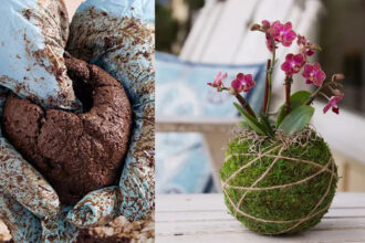 Kokedama – Η τέχνη της καλλιέργειας φυτών χωρίς γλάστρες. Η Ιαπωνία διδάσκει στυλ