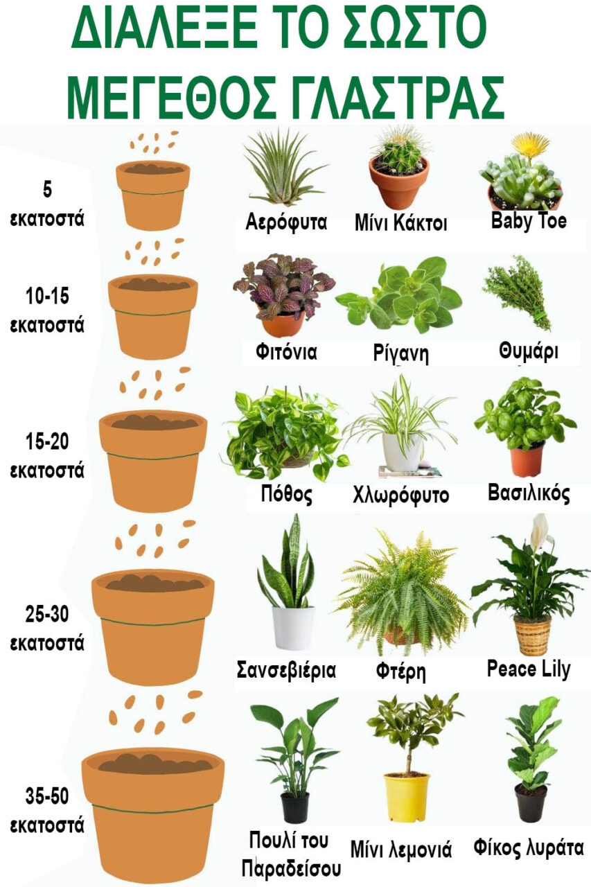 Οι γλάστρες είναι σαν τα παπούτσια - Ποιο είναι το σωστό μέγεθος για κάθε φυτό για να μεγαλώνει σωστά