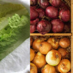 10 Μυστικά για να Διατηρήσετε Φρούτα και Λαχανικά Φρέσκα για Μήνες - Λέμε όχι στο Food Waste