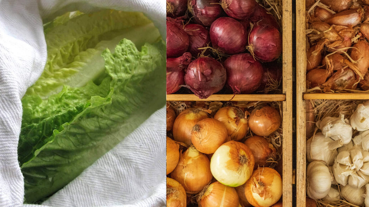 10 Μυστικά για να Διατηρήσετε Φρούτα και Λαχανικά Φρέσκα για Μήνες - Λέμε όχι στο Food Waste