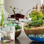 Κήποι σε γυάλες για αρχάριους - Οδηγίες για να φτιάξεις τους δικούς σου