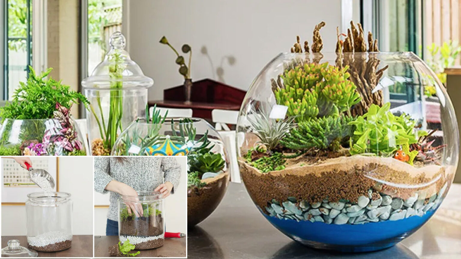 Κήποι σε γυάλες για αρχάριους - Οδηγίες για να φτιάξεις τους δικούς σου