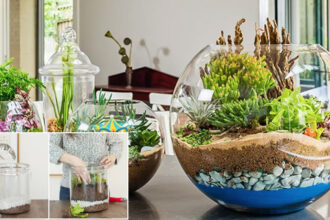 Κήποι σε γυάλες για αρχάριους - Οδηγίες για να φτιάξεις τους δικούς σου