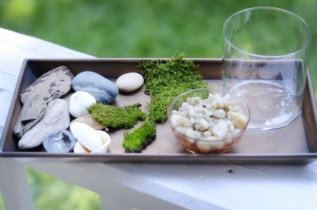 Κήποι σε γυάλες για αρχάριους - Οδηγίες για να φτιάξεις τους δικούς σου