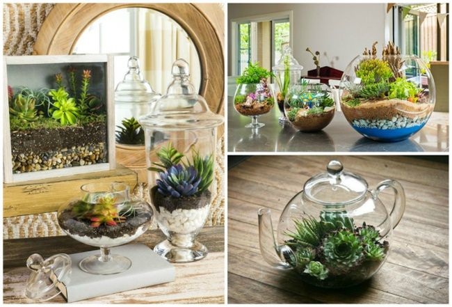 Κήποι σε γυάλες για αρχάριους - Οδηγίες για να φτιάξεις τους δικούς σου