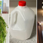 18 Κατασκευές με πλαστικά μπουκάλια: DIY που θα σου μείνουν για χρόνια