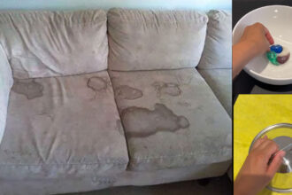 Καθάρισε τον καναπέ σου με ένα καπάκι κατσαρόλας - Θα βρει και πάλι το χρώμα του